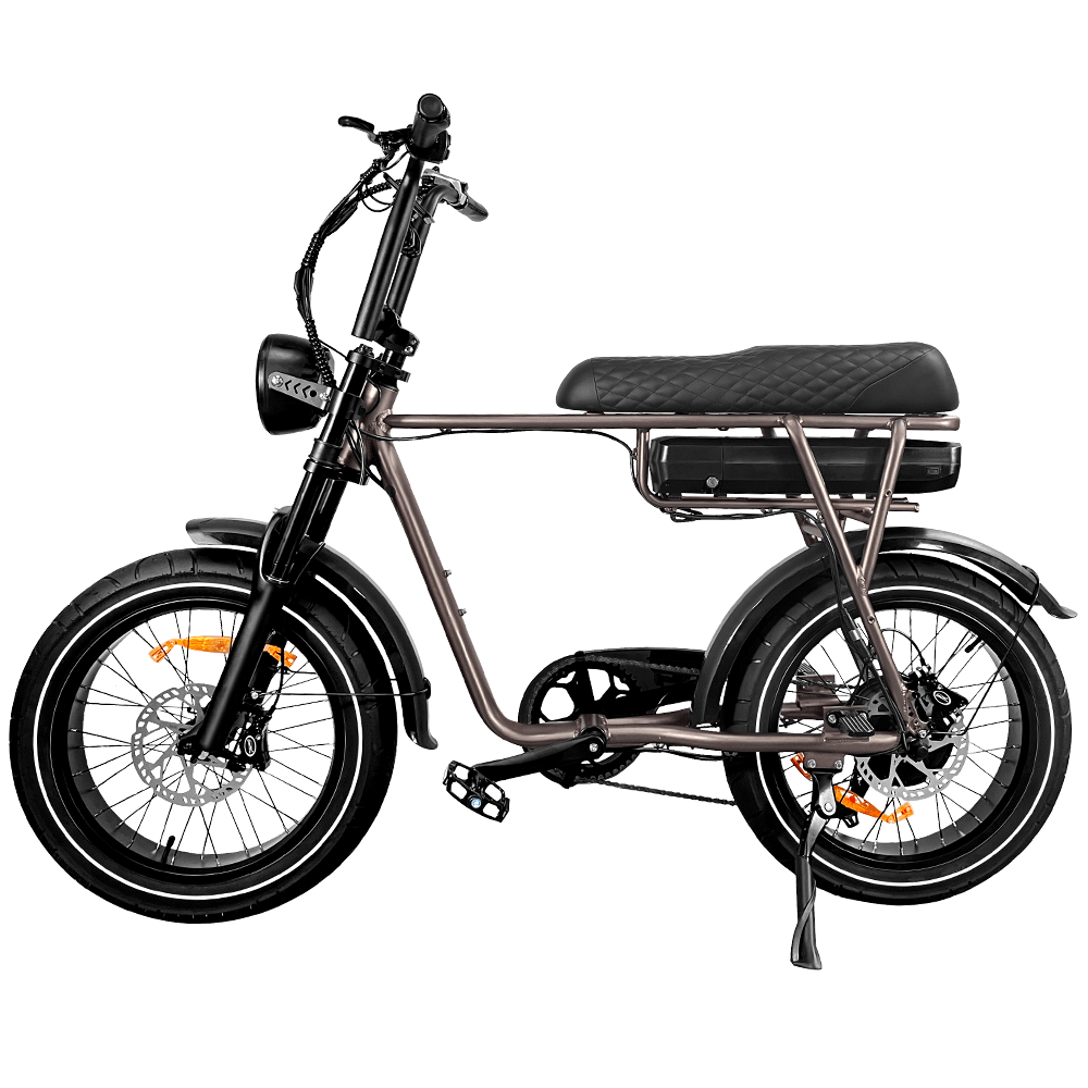 EB2 Pro - Fatbike - Koffie