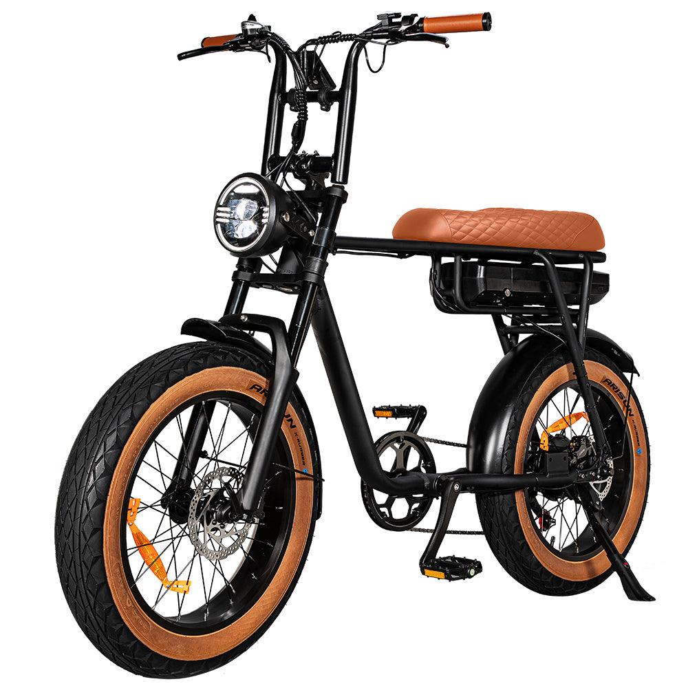 EB2 Pro - Fatbike - Bruin