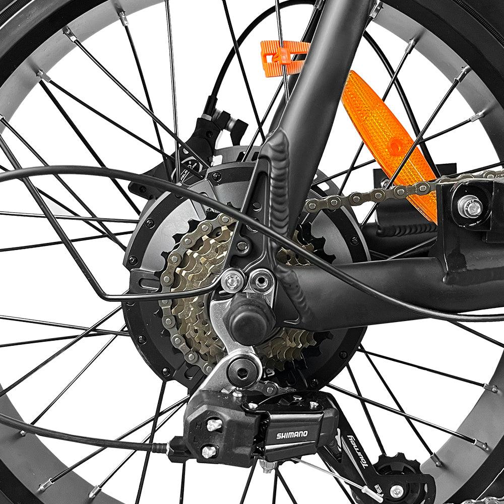 EB2 Pro - Fatbike - Bruin