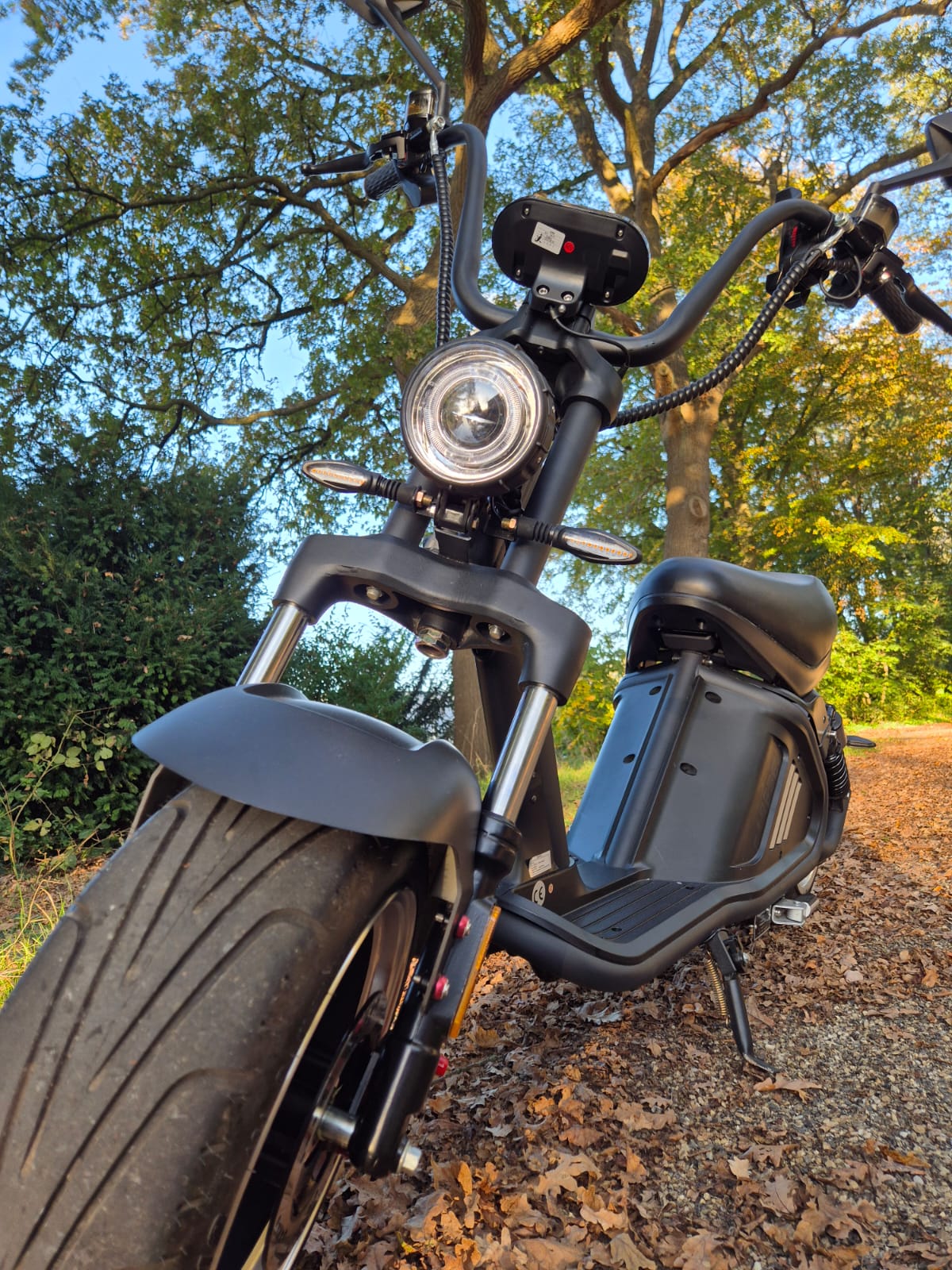 E-chopper M2 - Mat zwart - 30Ah