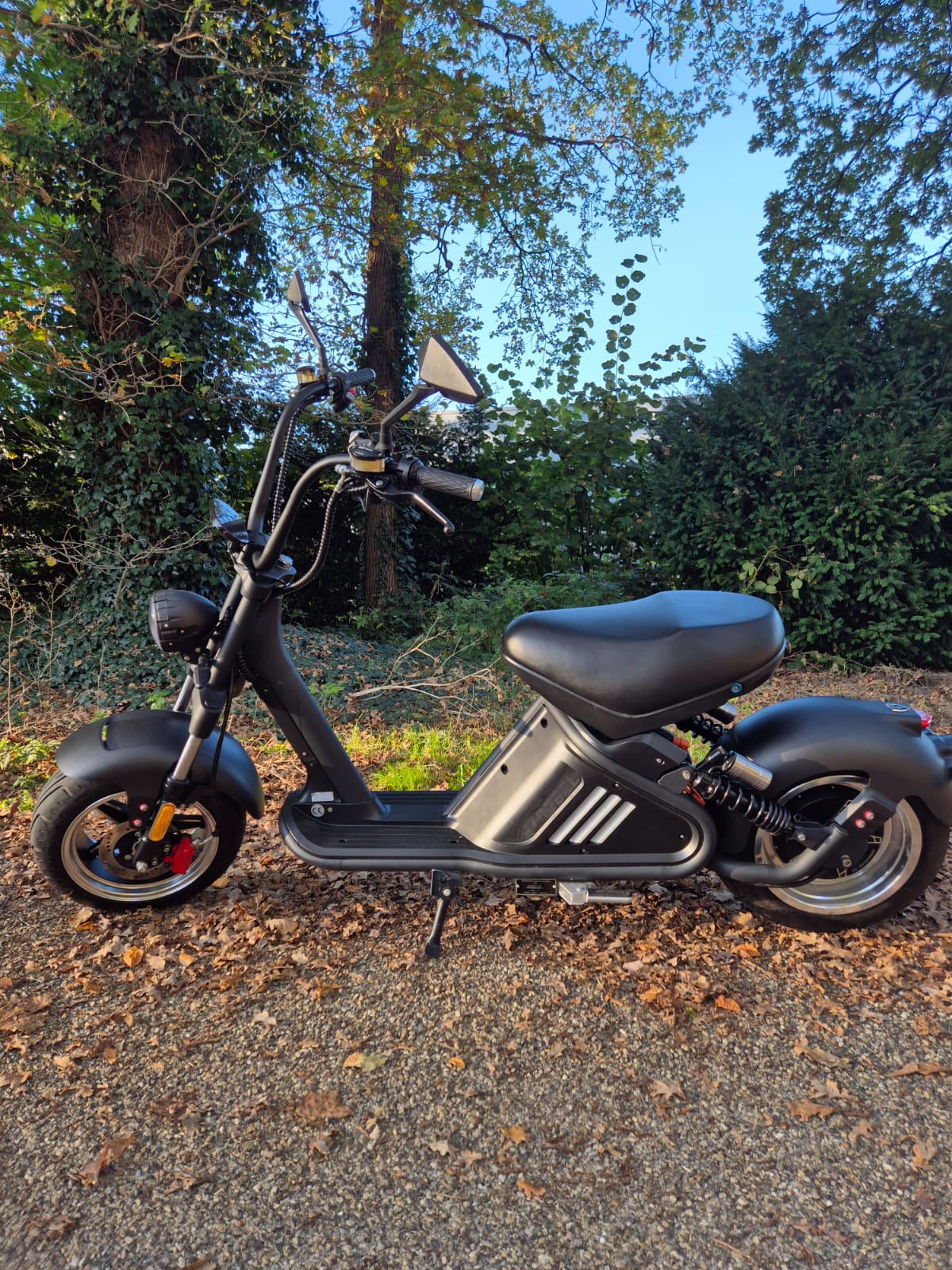 E-chopper M2 - Mat zwart - 30Ah