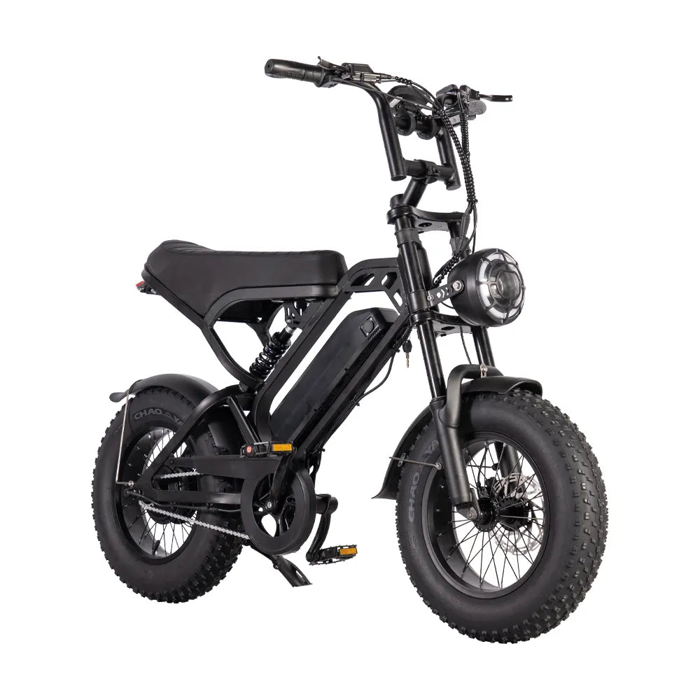 V20 Pro Mini - Fatbike - Zwart