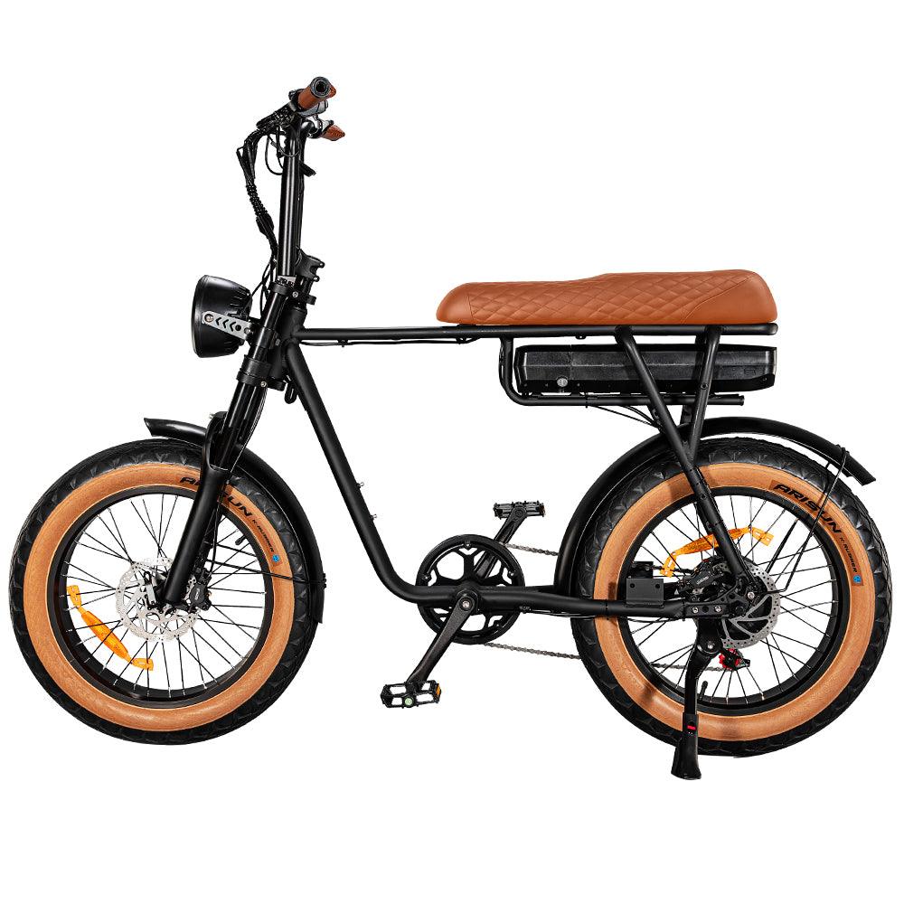 EB2 Pro - Fatbike - Bruin