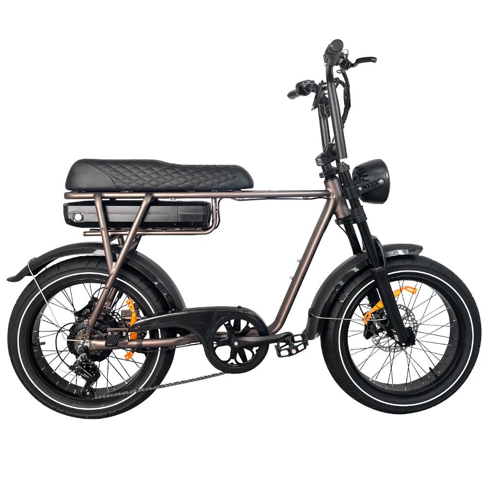 EB2 Pro - Fatbike - Koffie