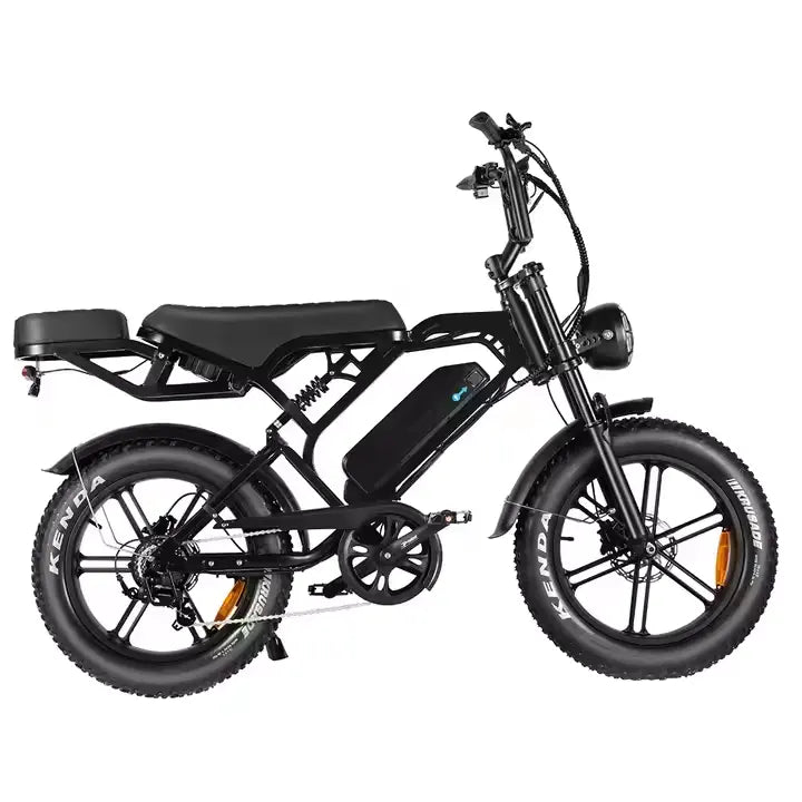 V20 Pro (4.0) 2025 - Fatbike - Zwart