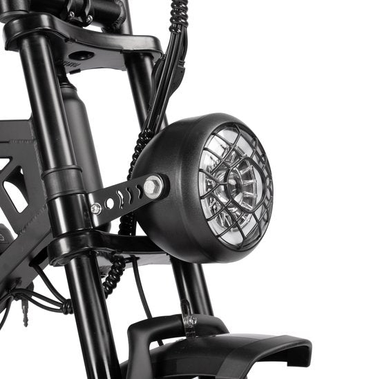 V20 Pro (4.0) 2025 - Fatbike - Zwart